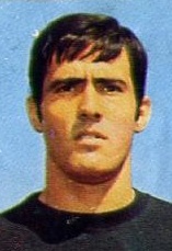 Campos