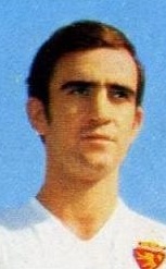 Ruiz Igartua