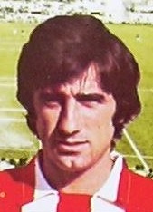 Piñel