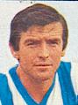 Navarro