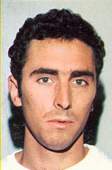 Arraiz