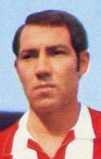Panchulo