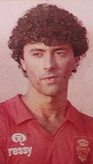 Braulio