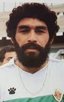 Neri